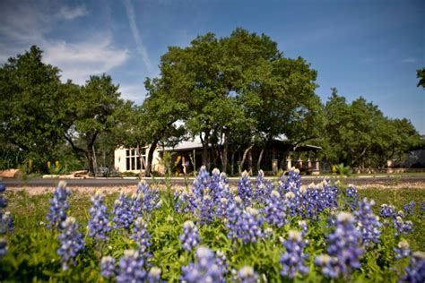 Spicewood vineyards - Stone House Vineyard. 4.5. 58 reviews. #5 of 20 things to do in Spicewood. Wineries & Vineyards. Closed now. 12:00 PM - 5:00 PM.